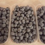 od-pomladi-do-zime (15)