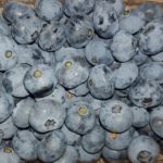 od-pomladi-do-zime (19)