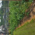 od-pomladi-do-zime (24)