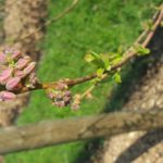 od-pomladi-do-zime (3)