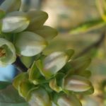 od-pomladi-do-zime (4)