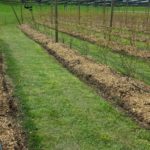 od-pomladi-do-zime (5)